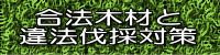 合法木材と違法伐採対策