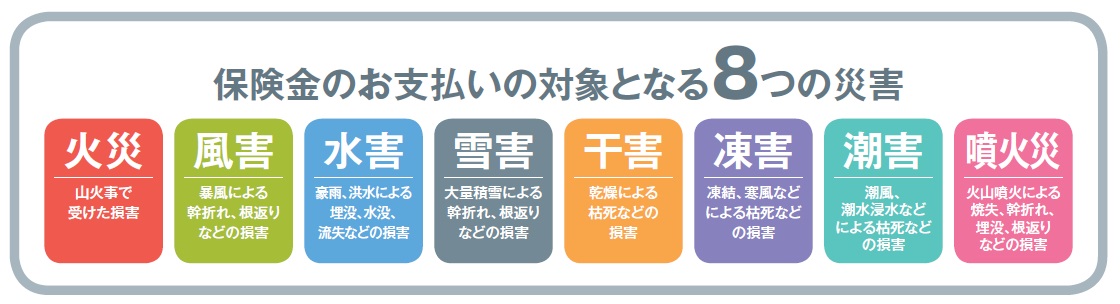 適用